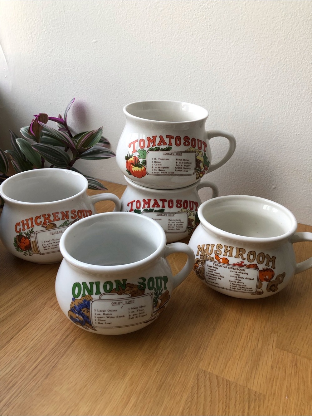 Lot of 5 Vintage Soup Bowls with Soup Recipes - Mushroom Onion Chicken Tomato x2